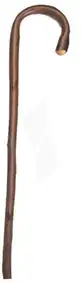 Herdegen Canne Bois