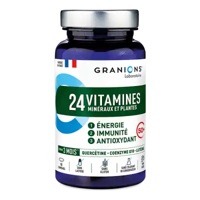 Granions 24 Vitamines Minéraux Et Plantes Comprimés B/90 à ANGLET