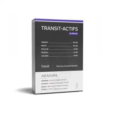 Aragan Synactifs Transitactifs Gélules B/20 à TOULON