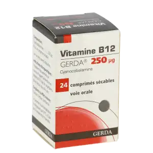 Vitamine B12 Gerda 250 Microgrammes, Comprimé Sécable à Pessac