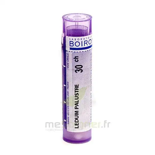 Boiron Ledum Palustre 30ch Granules Tube De 4g