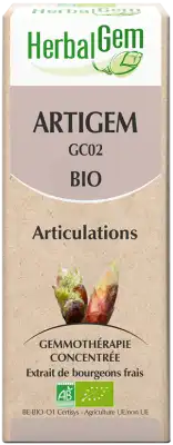 Herbalgem Artigem Bio 30 Ml à Bordeaux