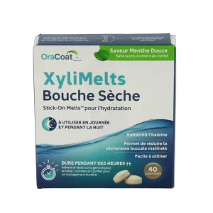 Xylimelts Past Adhésive Menthe Douce B/40