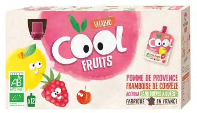 Vitabio Cool Fruits Pomme Framboise à SAINT-PRIEST