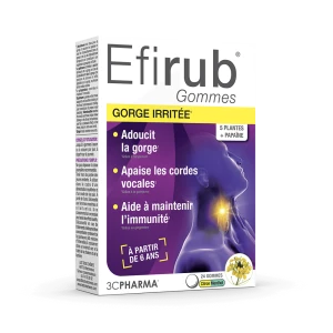 Efirub Gommes Citron B/24