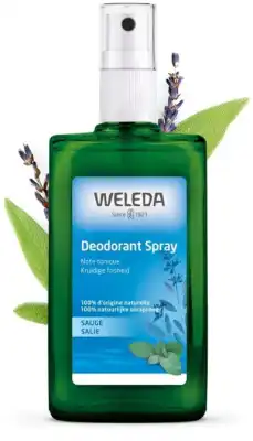 Weleda Déodorant Sauge Spray/100ml à SAINT-CYR-SUR-MER