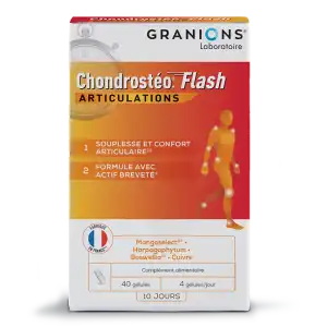 Chondrosteo+ Flash Gélules B/40 à PARON