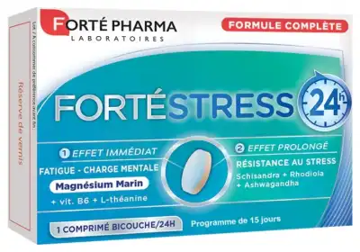 Forte Stress 24h Comprimés B/15 à Vierzon