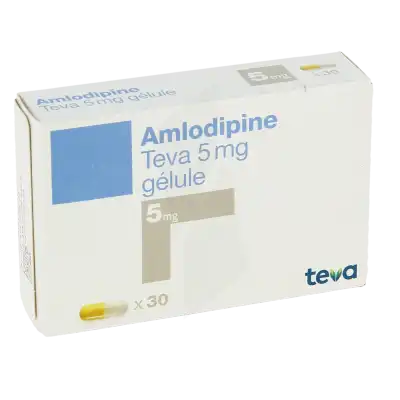 Amlodipine Teva 5 Mg, Gélule à  JOUÉ-LÈS-TOURS
