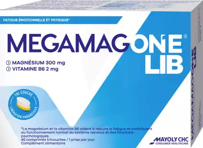 Megamagone Lib Comprimés B/45 à Hendaye