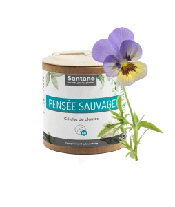 Santane Pensée Sauvage Gélules De Poudre De Plantes 230mg B/60