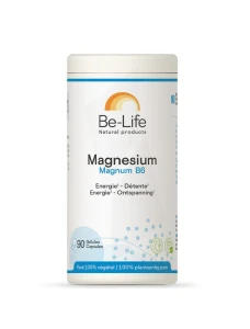 Be-life Mg Magnum B6 Gélules B/90