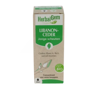 Herbalgem Cèdre Macérat Bio Fl Cpte-gttes/30ml