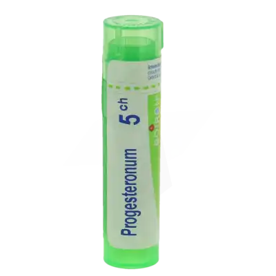 Boiron Progesteronum 5ch Granules Tube De 4g à BOURBON-LANCY