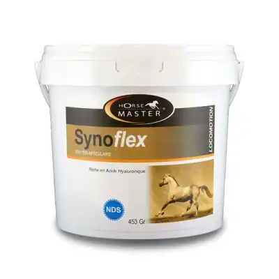 Horse Master Synoflex 453g à Paris
