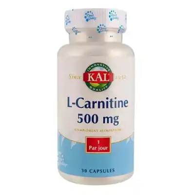 Kal L-carnitine 500mg Capsules B/30 à Villeneuve-sur-Lot