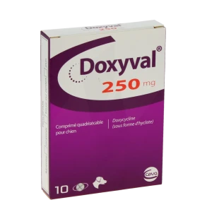 Doxyval 250 Mg Comprime Quadrisecable Pour Chien, Comprimé