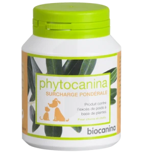 Phytocanina Comprimés Minceur B/40