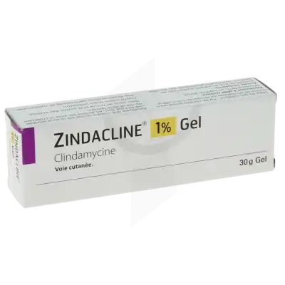 Zindacline 1 %, Gel à Lavernose-Lacasse