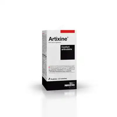 Nhco Nutrition Artixine® 56 Gélules Gélules B/56 à Sartrouville