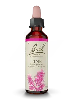Fleurs De Bach® Original Pine - 20 Ml à Mimizan