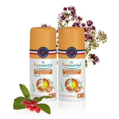 Puressentiel Articulations Et Muscles Roller Cryo Pure 14 Huiles Essentielles 2/75ml à Angers