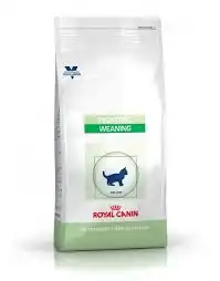 Royal Canin Chat Pediatric Weaning 2kg