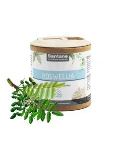 Santane Boswellia Gélules De Poudre De Plantes 200mg B/60