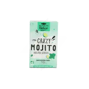 Romon Nature Infusion Crazy Mojito Bio 16 Sachets à Muret