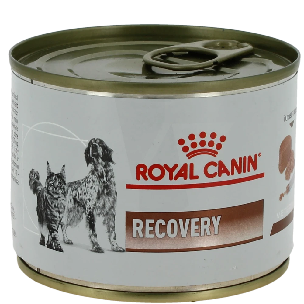 Royal Canin Recovery Chat & Chien 195g