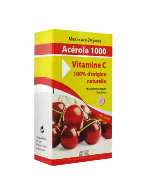 Ineldea Acérola 1000 Vitamine C à Versailles