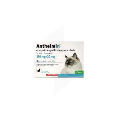 DEHINEL COMPRIMES PELLICULES POUR CHATS, Comprimé pelliculé