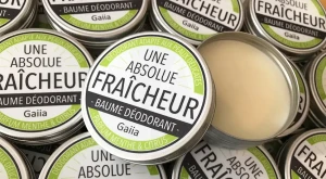Gaiia Baume Déodorant Solides Naturel Bio Fraîcheur Menthe Citron B/50ml