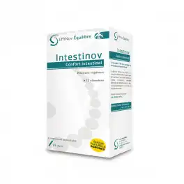 Effinov Nutrition Intestinov Poudre 21 Sticks/7g à PEYNIER