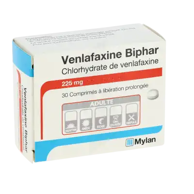Venlafaxine Biphar 225 Mg, Comprimé à Libération Prolongée à SAINT-SAENS