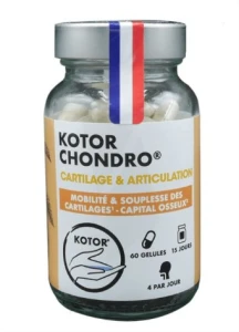 Kotor Chondro Gelule 60