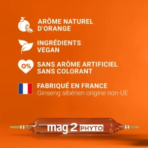 Mag 2 Phyto Energie Solution Buvable 15 Ampoules