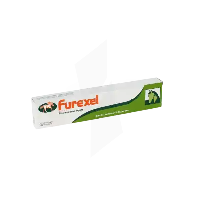 Furexel, Pâte Orale à RUMILLY