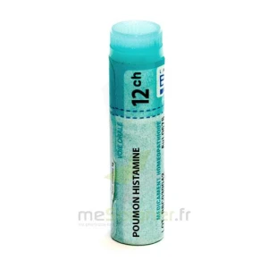 Boiron Poumon Histamine 12ch Globules Dose De 1g