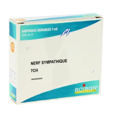 Boiron Nerf Sympathique 7ch Solution Buvable En Ampoules Boîte De 12 Ampoules à Bordeaux