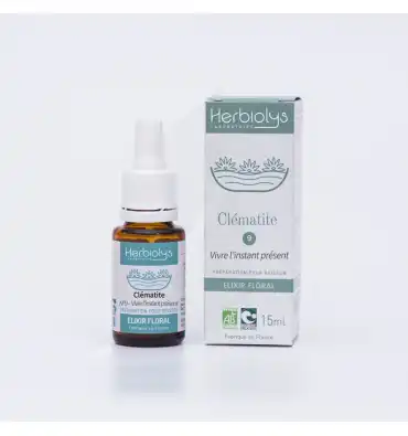 Herbiolys Elixir floral Clématite n°9 15ml BIO - Clematis vitalba