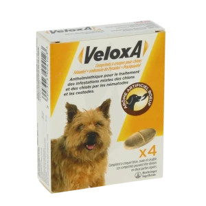 Veloxa Comprimes A Croquer Pour Chiens, Comprimé à Croquer