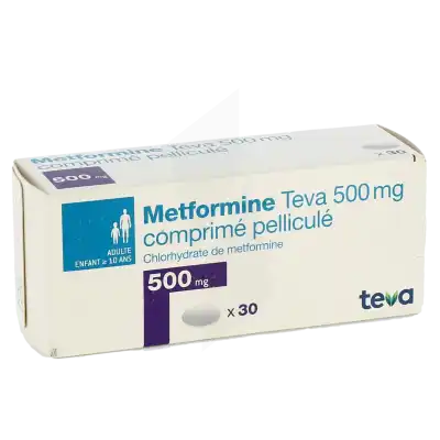 Metformine Teva 500 Mg, Comprimé Pelliculé à DIJON