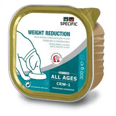 Specific Crw-1 Weight Reduction à AMBARÈS-ET-LAGRAVE