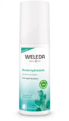 Weleda Soins Visage Figue De Barbarie Brûme Hydratante Fl/100ml à Saint-Médard-en-Jalles
