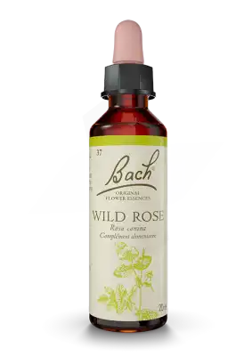Fleurs De Bach® Original Wild Rose - 20 Ml à Auterive