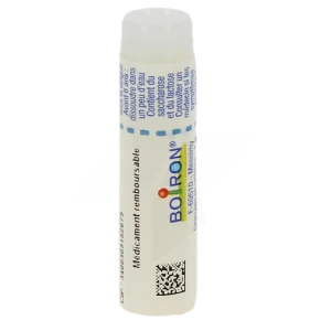 Boiron Serum De Yersin 9dh Globules Dose De 1g