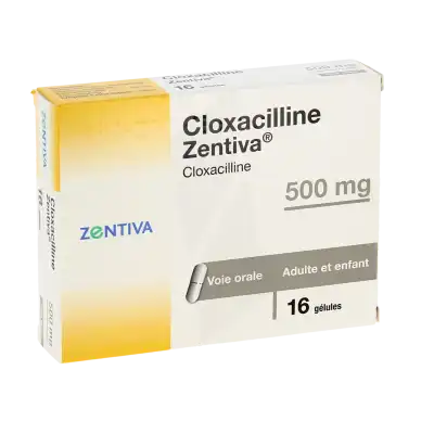 Cloxacilline Zentiva 500 Mg, Gélule à Eysines