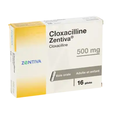 Cloxacilline Zentiva 500 Mg, Gélule à Bordeaux