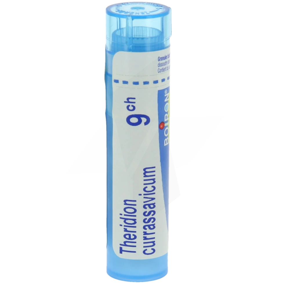 Boiron Theridion Currassavicum 9ch Granules Tube De 4g